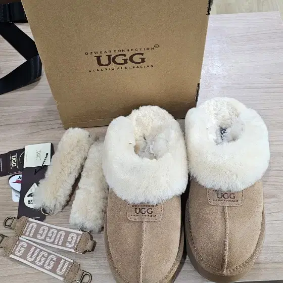 호주 UGG 어그