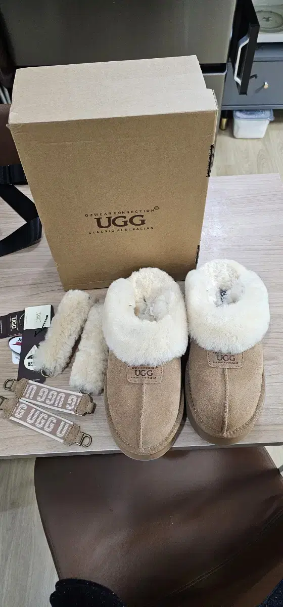 호주 UGG 어그