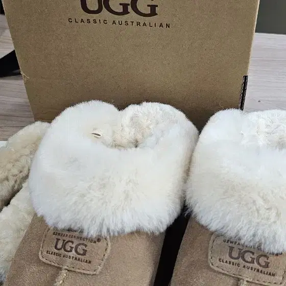 호주 UGG 어그