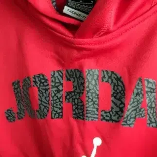 <b>JORDAN</b> 프린팅 후드티 | Unisex(9-9)