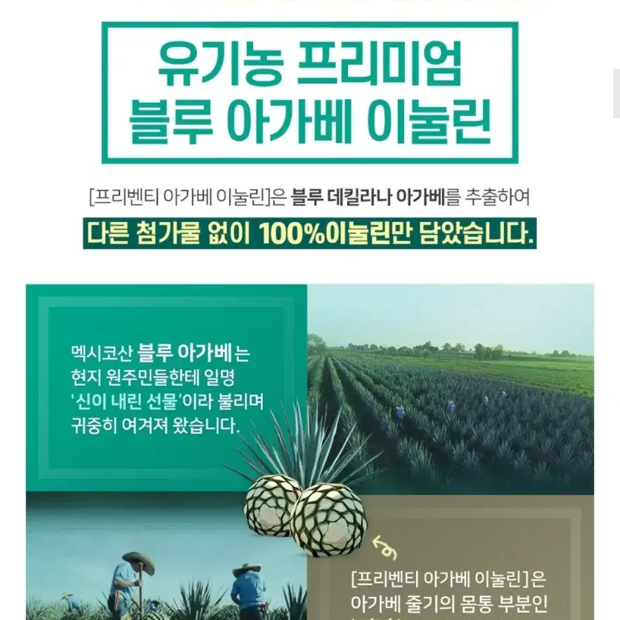 블루아가베 이눌린 프로바이오틱스 장내유산균 스틱포