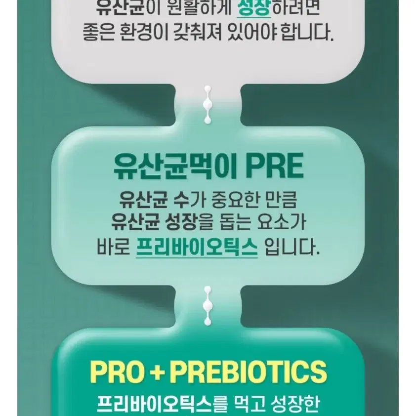 블루아가베 이눌린 프로바이오틱스 장내유산균 스틱포