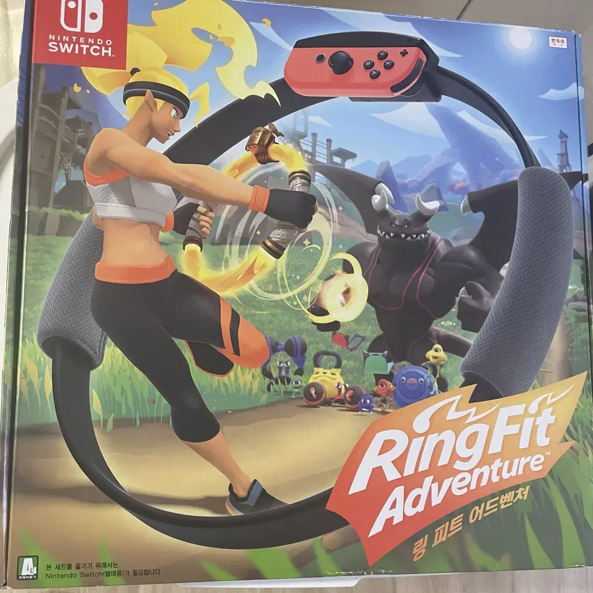 Nintendo Ringfeet Adventure