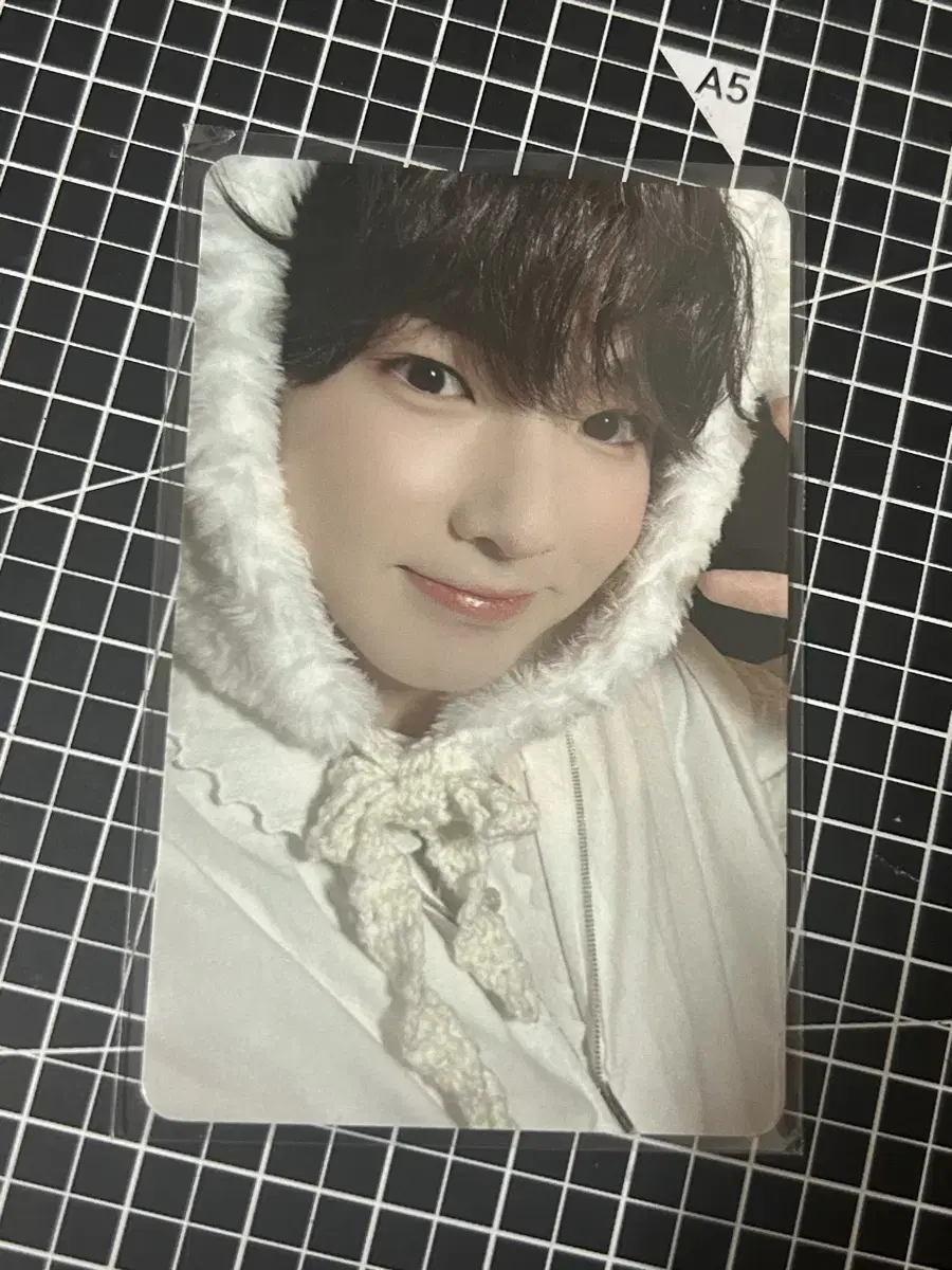 Wish Japan Membership Bear photocard Sakuya