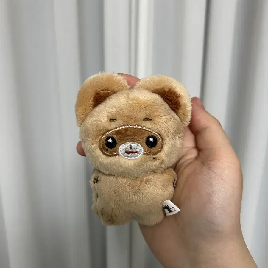 장하오 제베원 뽀솜마을 짱뽀10cm 인형