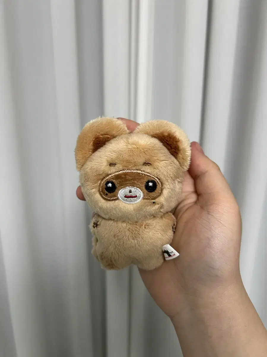 장하오 제베원 뽀솜마을 짱뽀10cm 인형