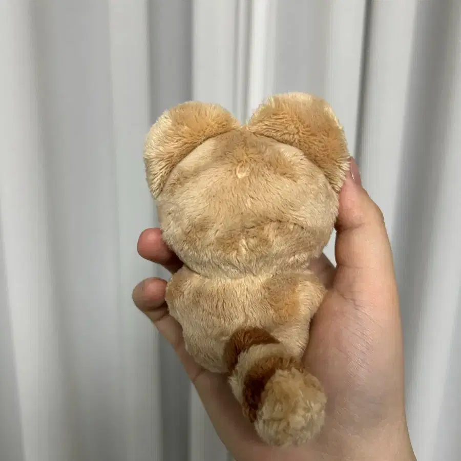 장하오 제베원 뽀솜마을 짱뽀10cm 인형