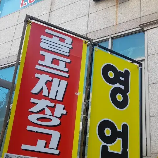 골프채 골라가세요 드라이버 우드 유틸리티 아이언세트 퍼터 웨찌치퍼 우디아