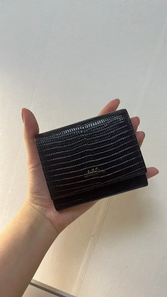 아페쎄 CUIR EMBOSSE LIZARD WALLET