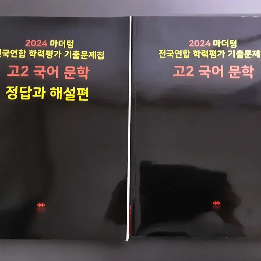 마더텅 고2 문학