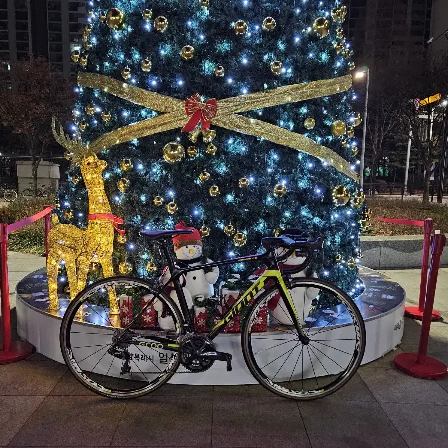 (추금 많음) 울테 di2 자이언트 tcr 어드밴스0 판매/대차 봅니다