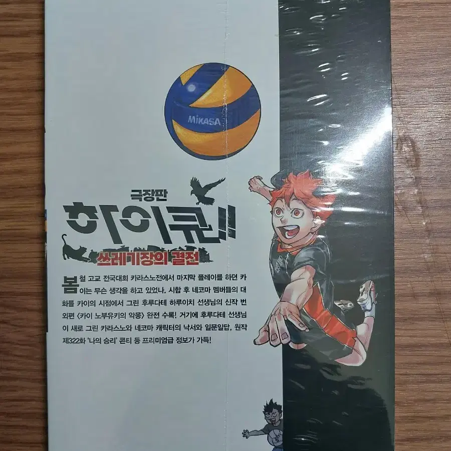 하이큐 쓰레기장의 결전 33.5 특전