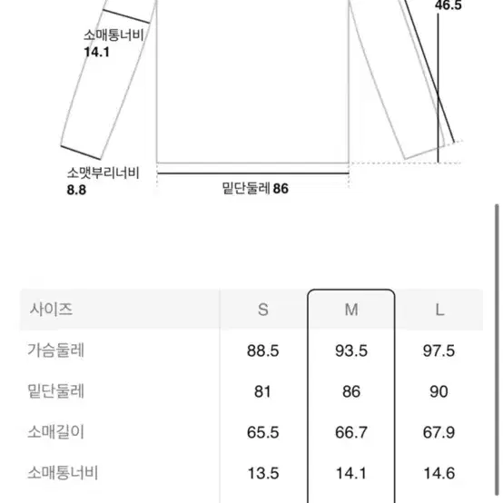 에잇세컨즈 폴라티