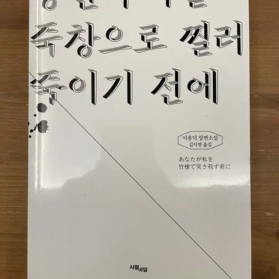 당신이 나를 죽창으로 찔러 죽이기 전에 - 이용덕