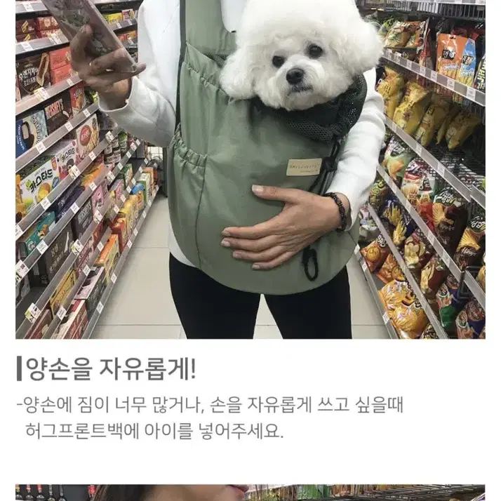 강아지앞가방