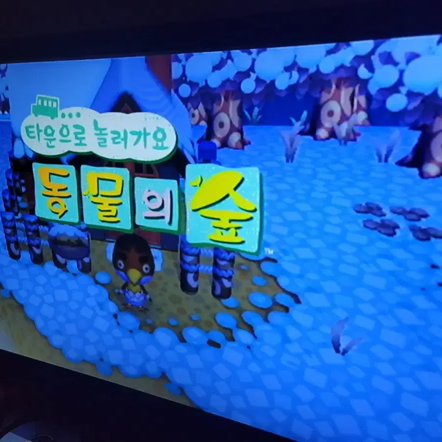 닌텐도 wii 동물의숲 한글판