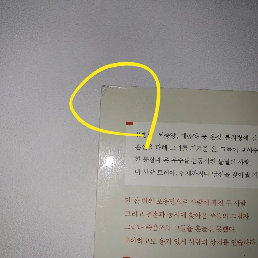 세상에서 가장 아름다운 용기 건강 에세이 도서