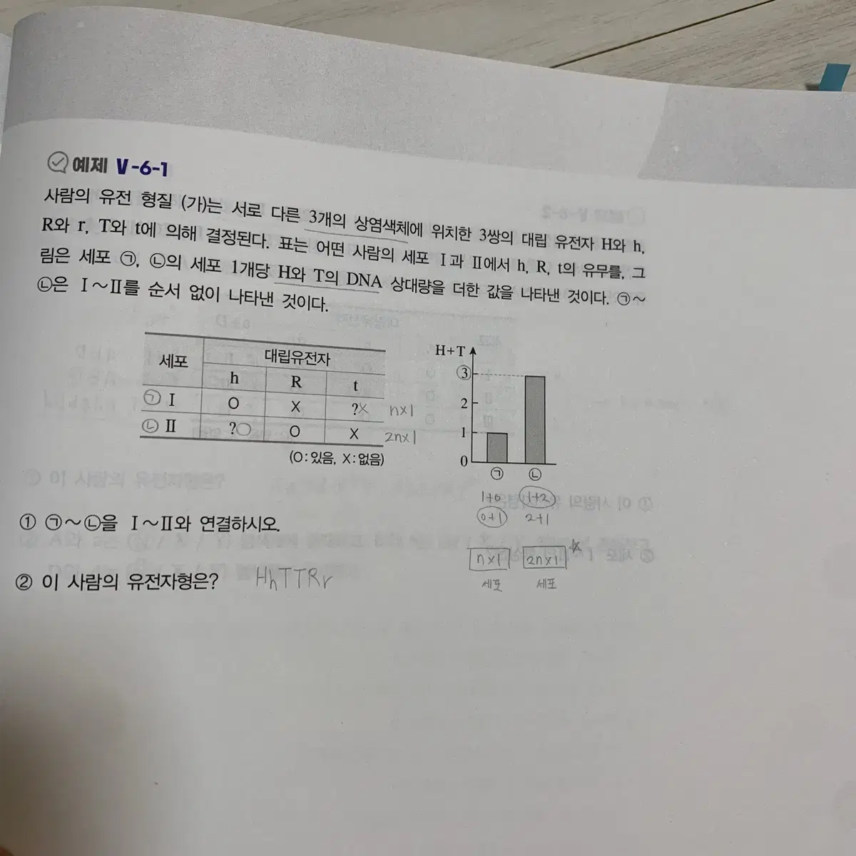 박선우 고양이(고득점 양성의 바이블) 일괄