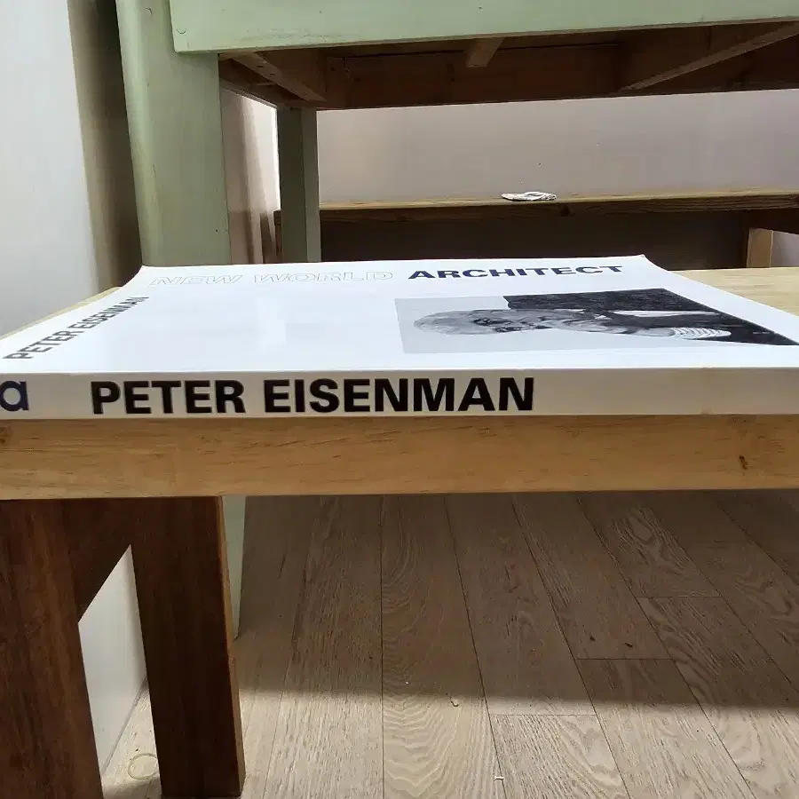 건축 관련 서적  PETER EISENMAN/ HOUSE PROJECT2