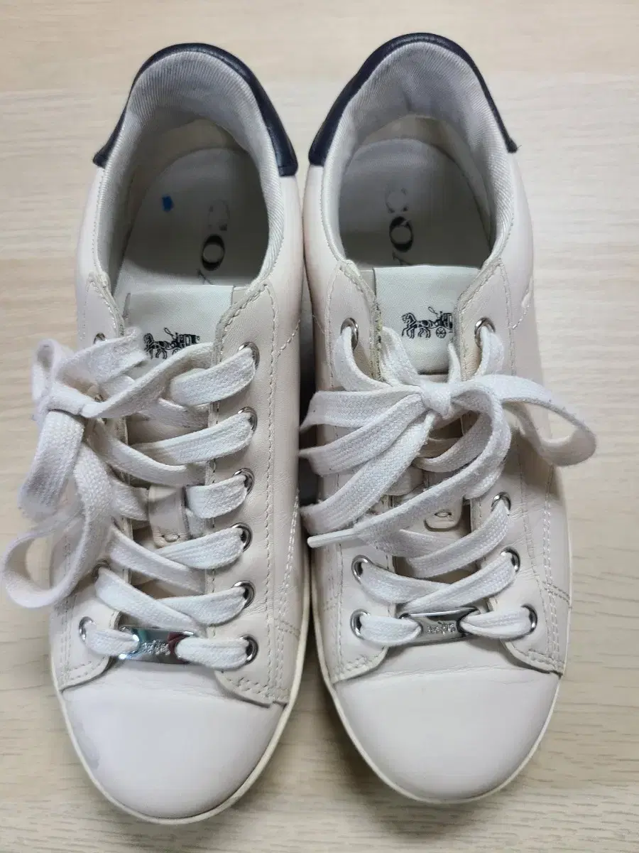 Coach Leather Sneakers 225