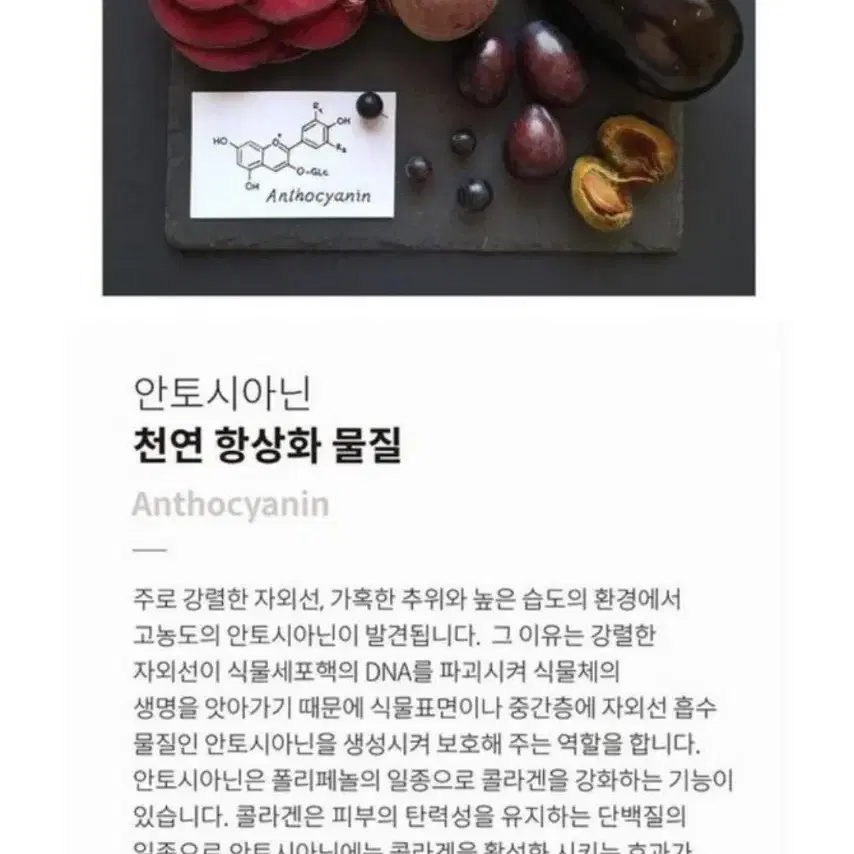 (무료배송) 리페어크림