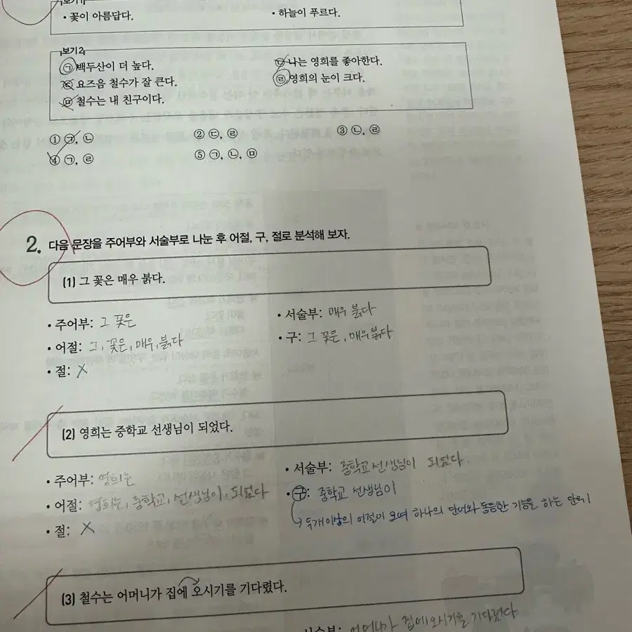 개념있는 국어문법