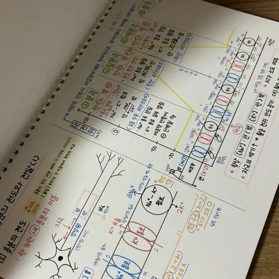 마더텅,1등급만들기,나비효과,문학,독서 등 여러 책 판매합니다!!