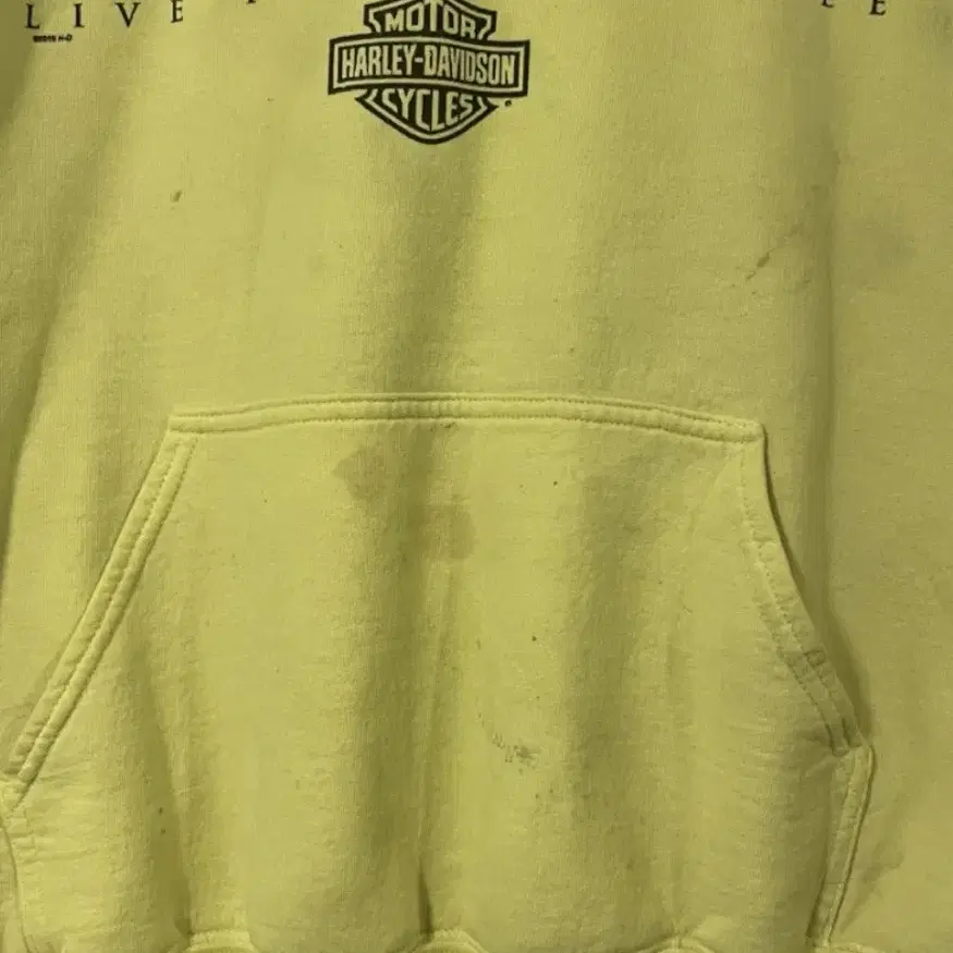 Vintage Harley-Davidson Hoodie