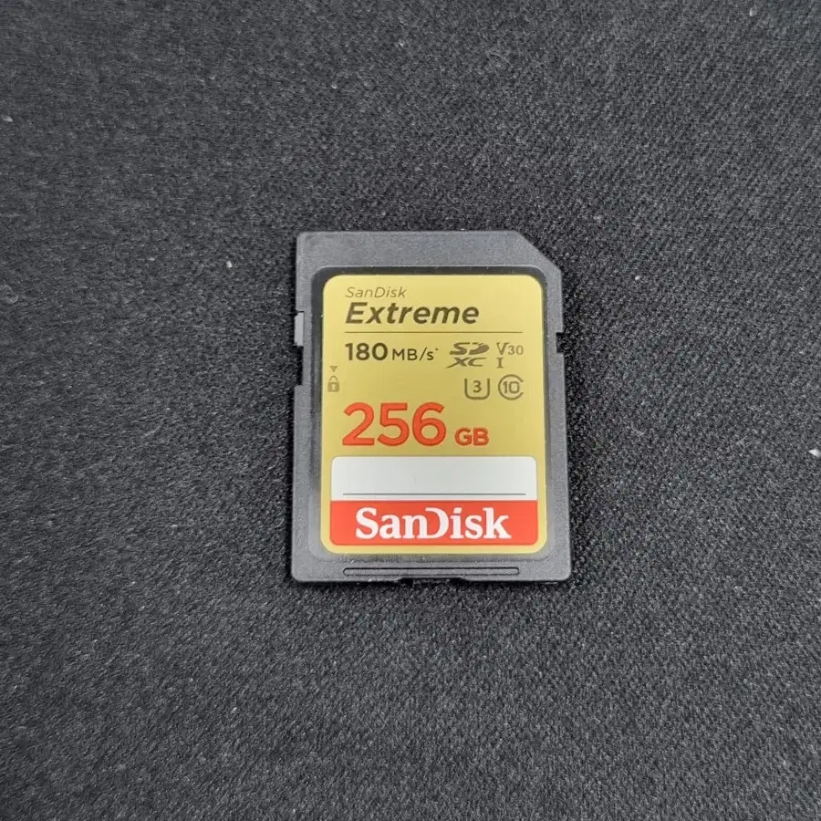 샌디스크 Extreme SDXC 256GB