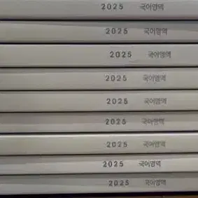 2025 시대인재 국어 엑셀러레이터 9권 일괄