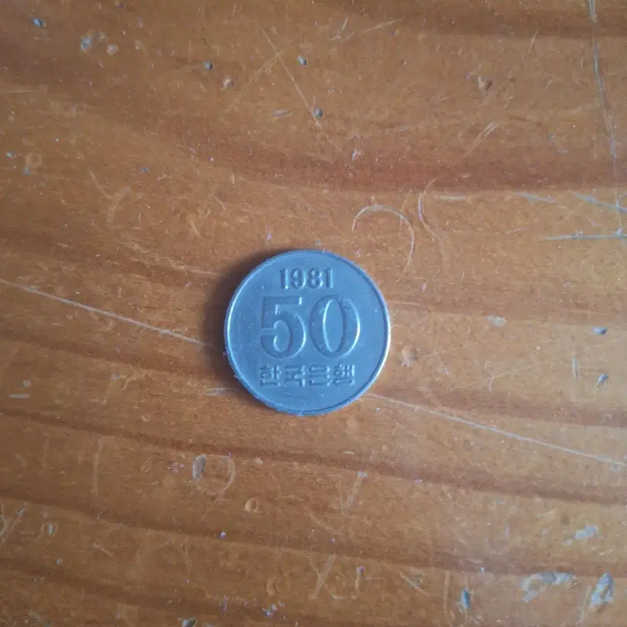 1981년 50원