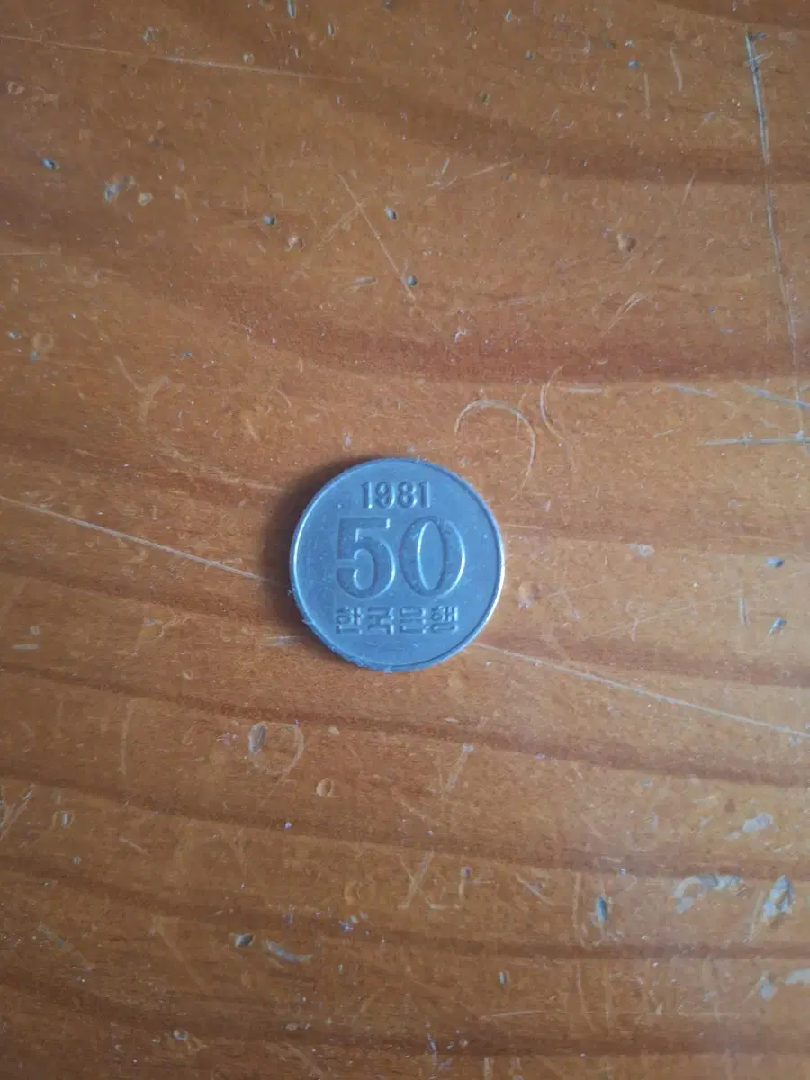 1981년 50원