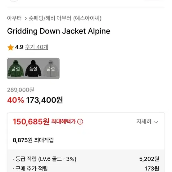 예스아이씨 패딩 L(Gridding Down Jacket Alpine)