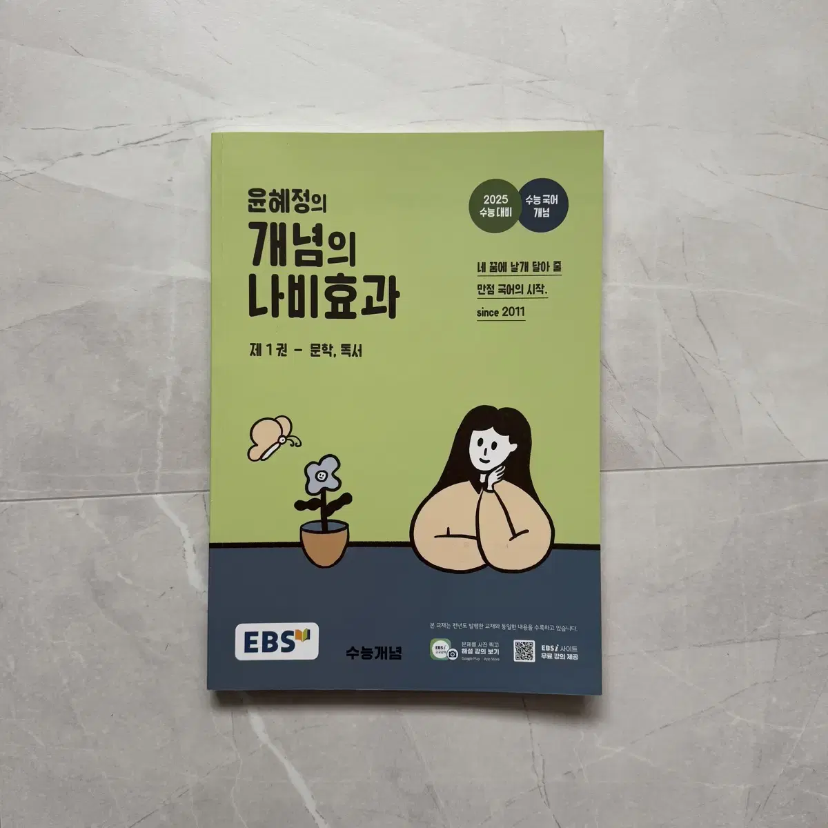 윤혜정의 개념의 나비효과 일괄 양도