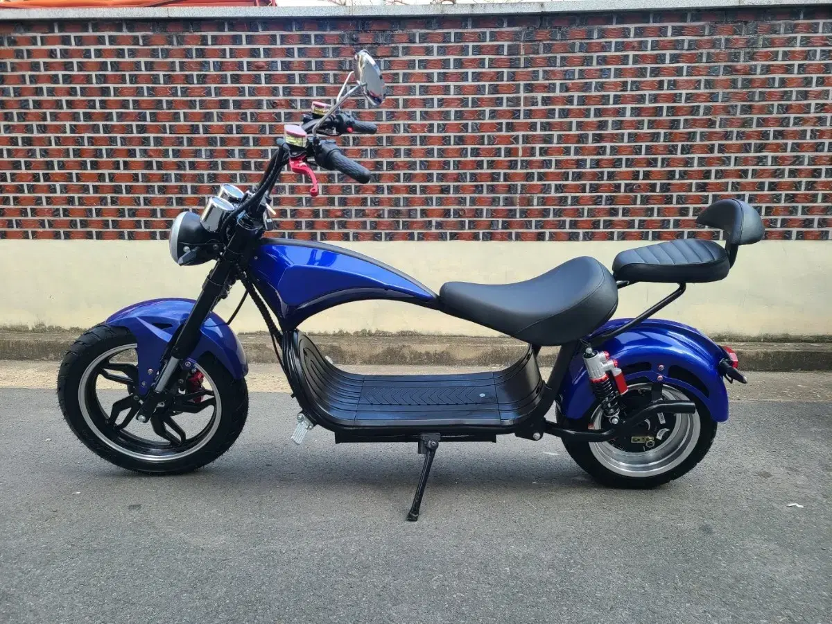 Harley Scooter High Power Electric Bike Electric Scooter New