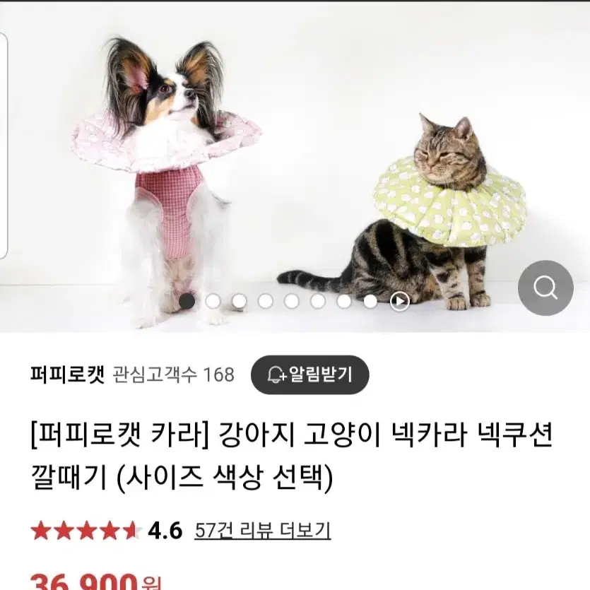 수의사가만든 입는넥카라 강아지 고양이 퍼피로캣 카라