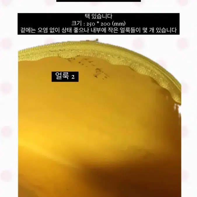 정품 카툰 네트워크 루니툰 트위티 클러치 파우치