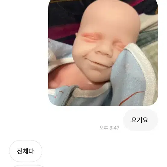 이분 다 신고 해주새요