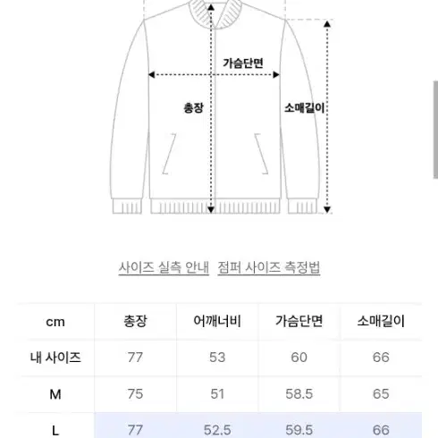 윗 오버사이즈 울 블레이저 블랙 L