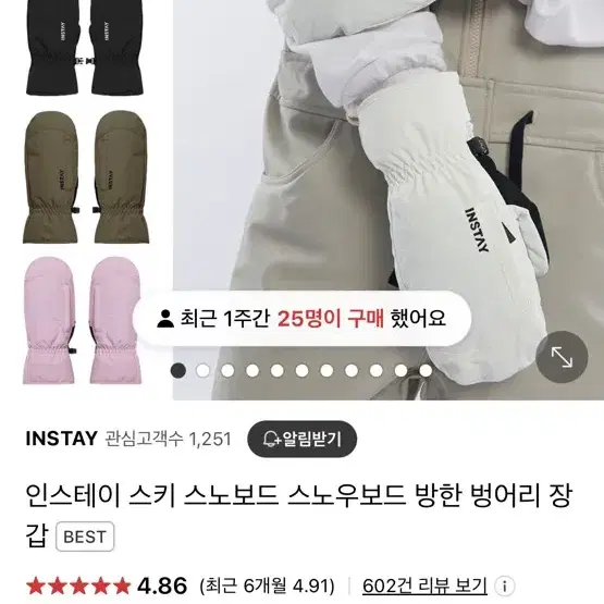 인스테이 보드장갑