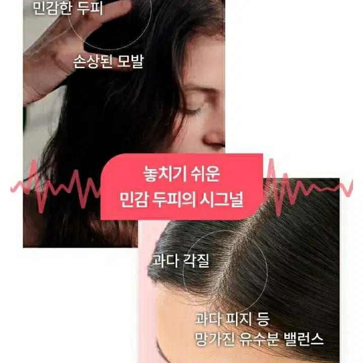 클로란 피오니 두피팩 150ml 새상품 미사용