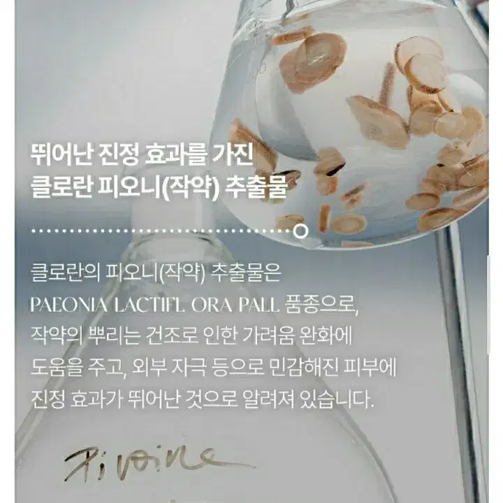 클로란 피오니 두피팩 150ml 새상품 미사용