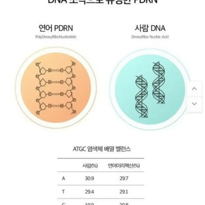 연어앰플크림