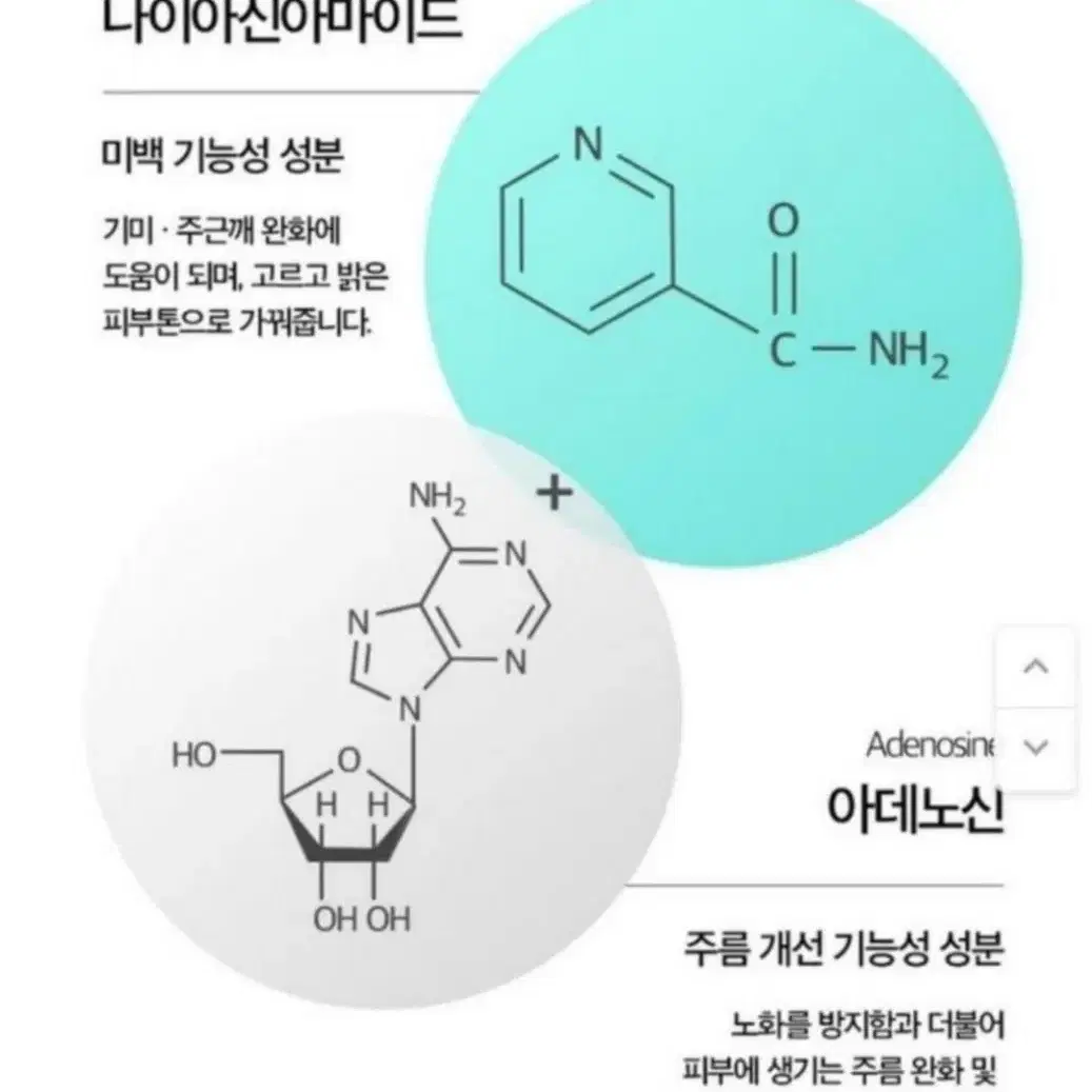 연어앰플크림