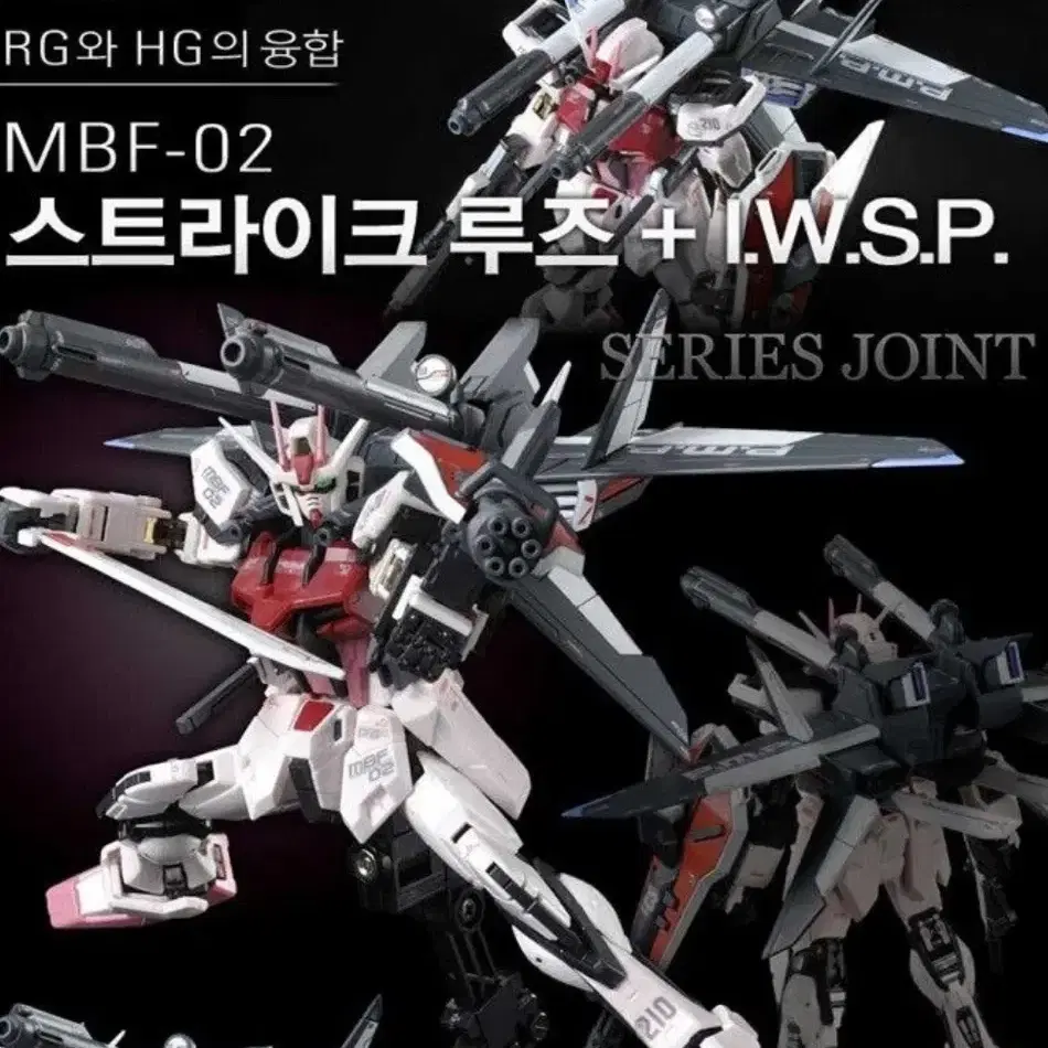 RG 스트라이크 루즈 + I.W.S.P (한정판)