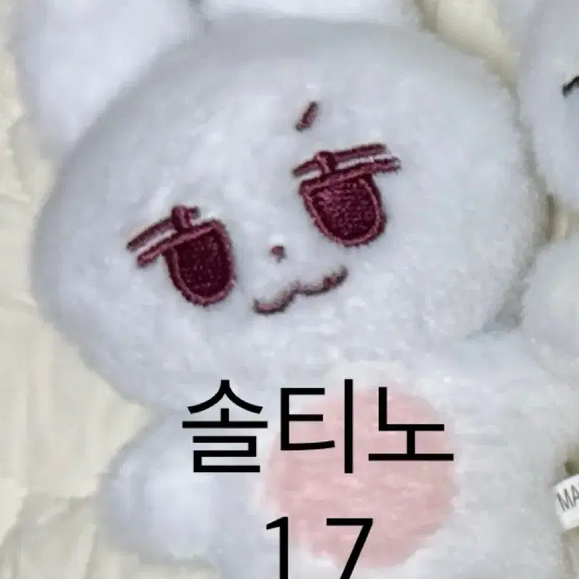 리노 10cm 인형 솔티노 양도