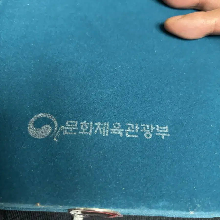 평창올림픽 기장