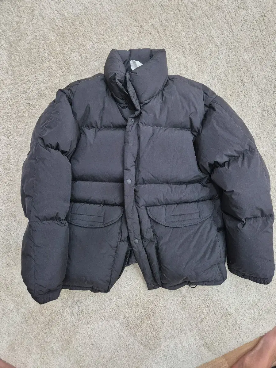 Brownyard Short Padded Black (Size 1)
