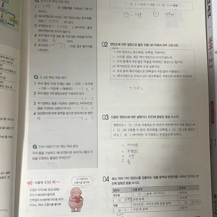 체크체크 과학 국어 중2-2