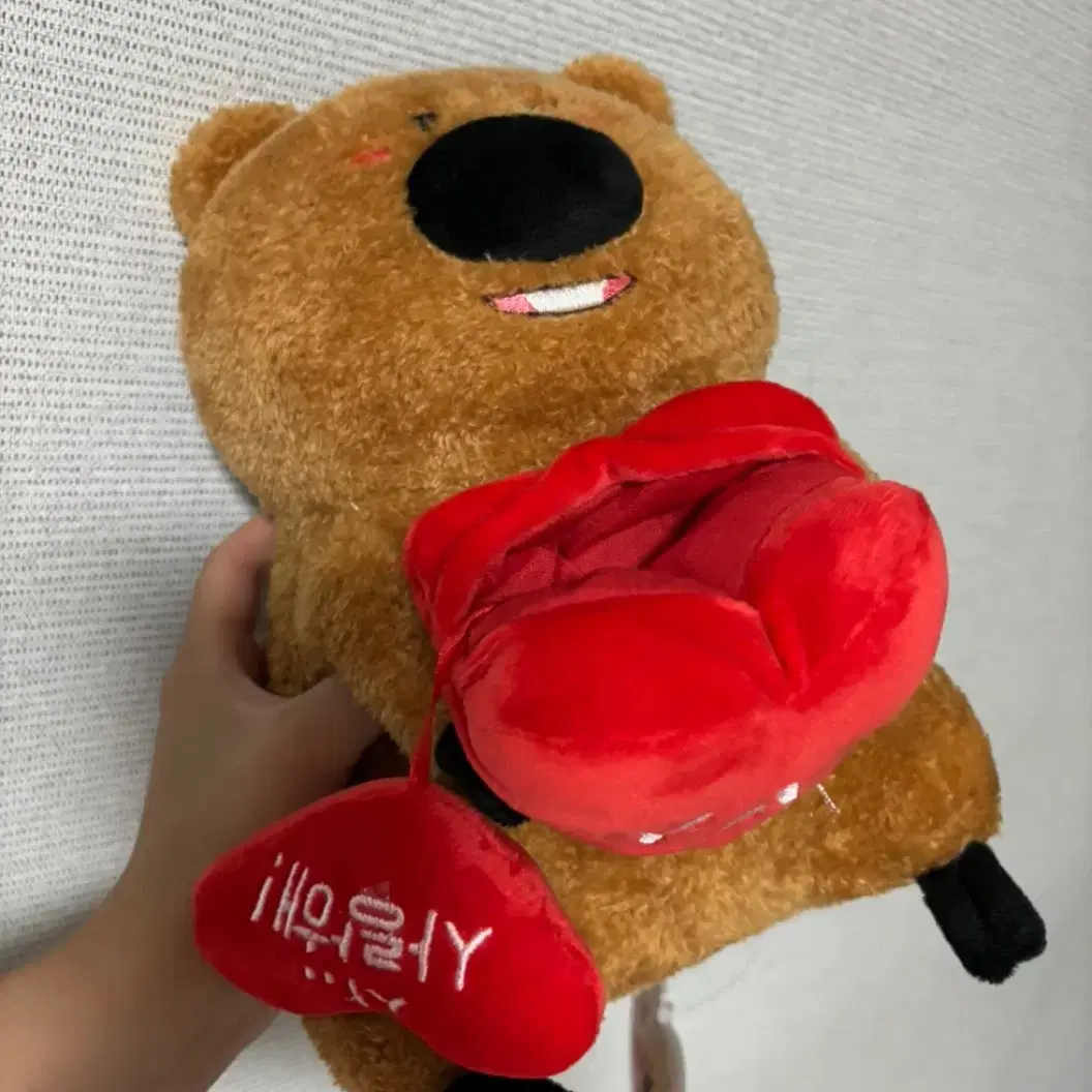 쿼카 인형 25cm